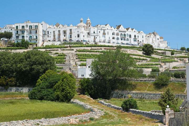 Het charmante Locorotondo 