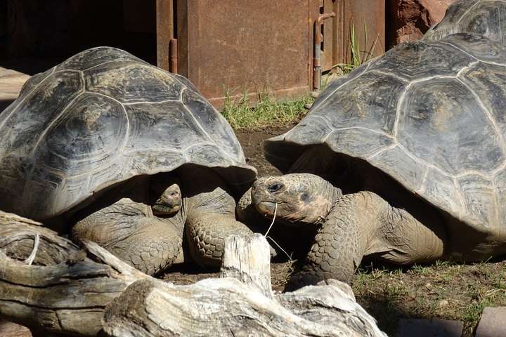 Bioparc de Fuengirola