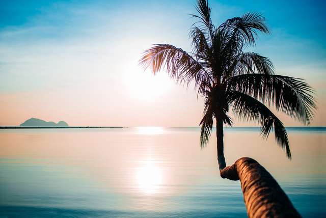 Winterzon Thailand