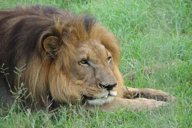 Natuurparken in Swaziland