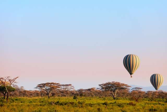 Natuurgebied Serengeti