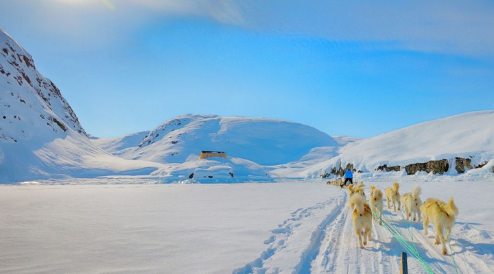 Winters landschap, Hondenslee, Groenland