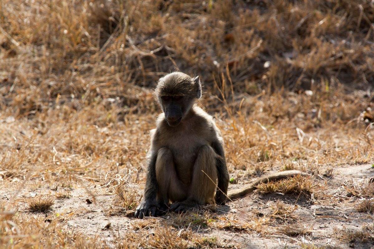 Foto van deze vakantie