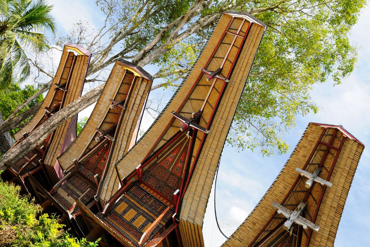 De bijzondere huizen van de Toraja