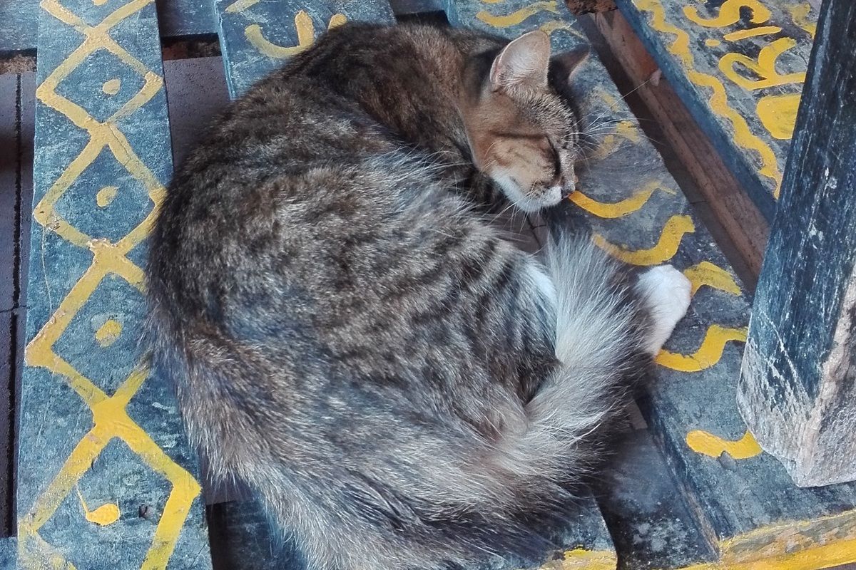 Kosybar aan de Place des Ferblantiers