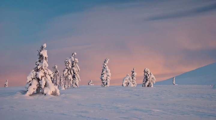 Winterse aanblik van Lapland, landschap Finland