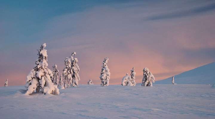 Winterse aanblik van Lapland, landschap Finland