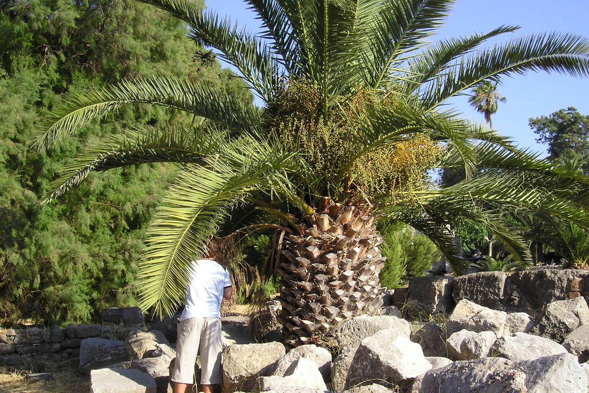 Foto van deze vakantie