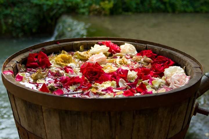 Productie van rozenolie