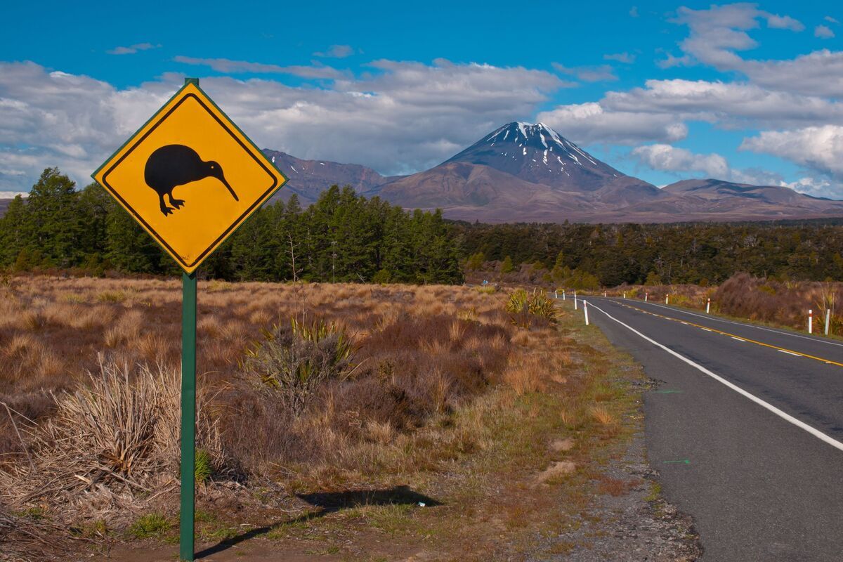 Waarschuwingsbord Kiwi