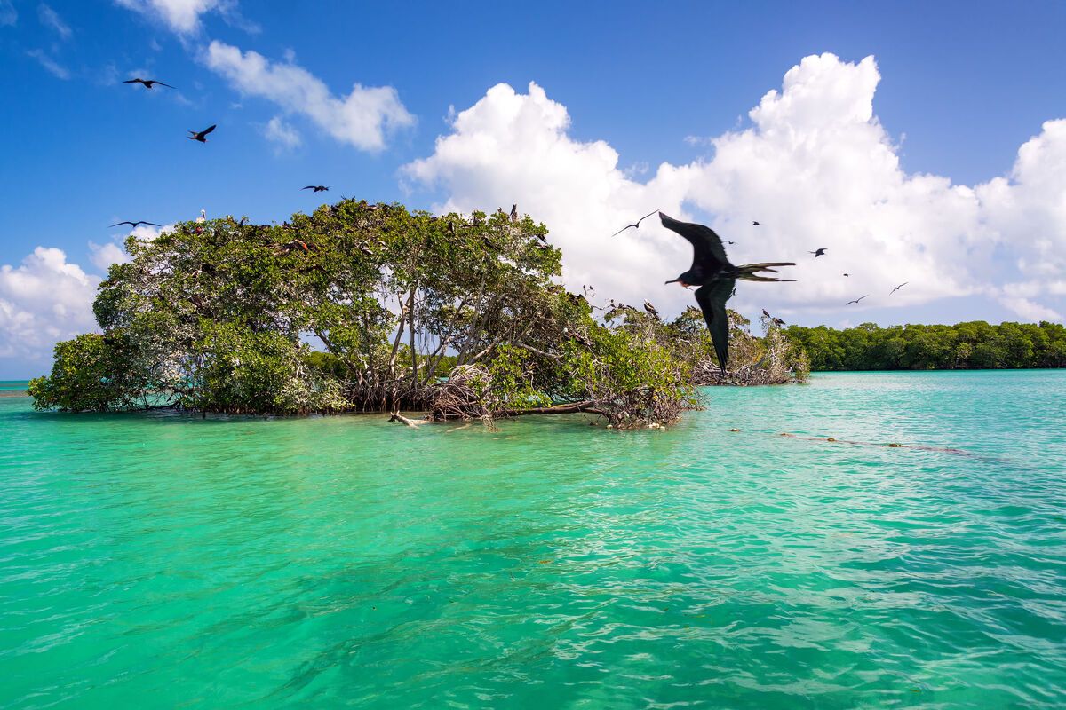 Biosfeer-Reservaat Sian Ka'an