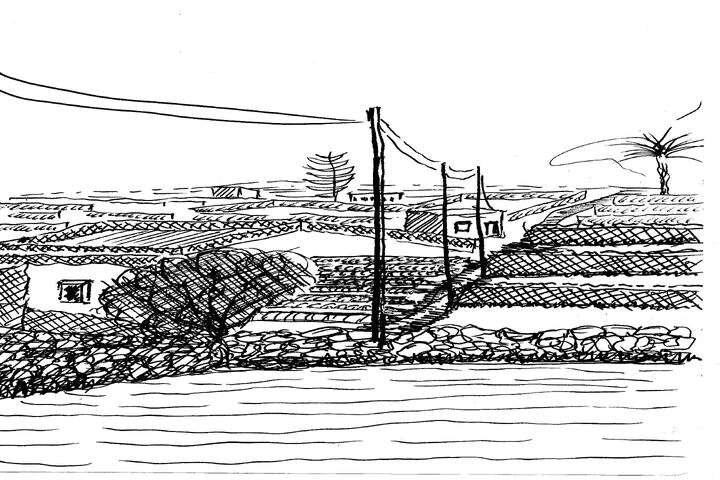 tekening Matla veld Ramla Bay, Malta