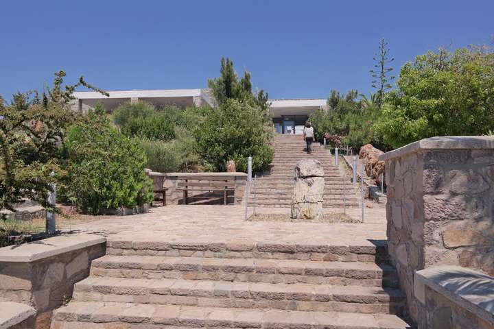 Museum van het Versteende Woud