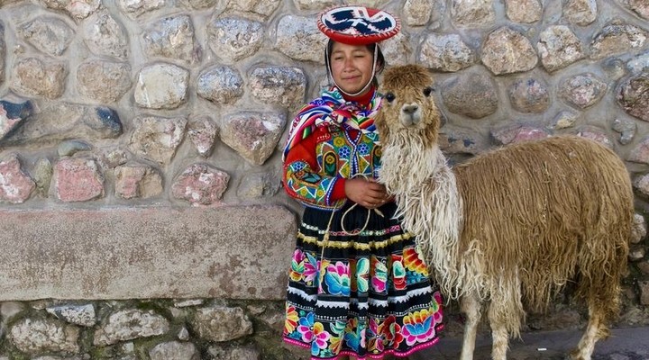 Alpaca's in het straatbeeld van Peru
