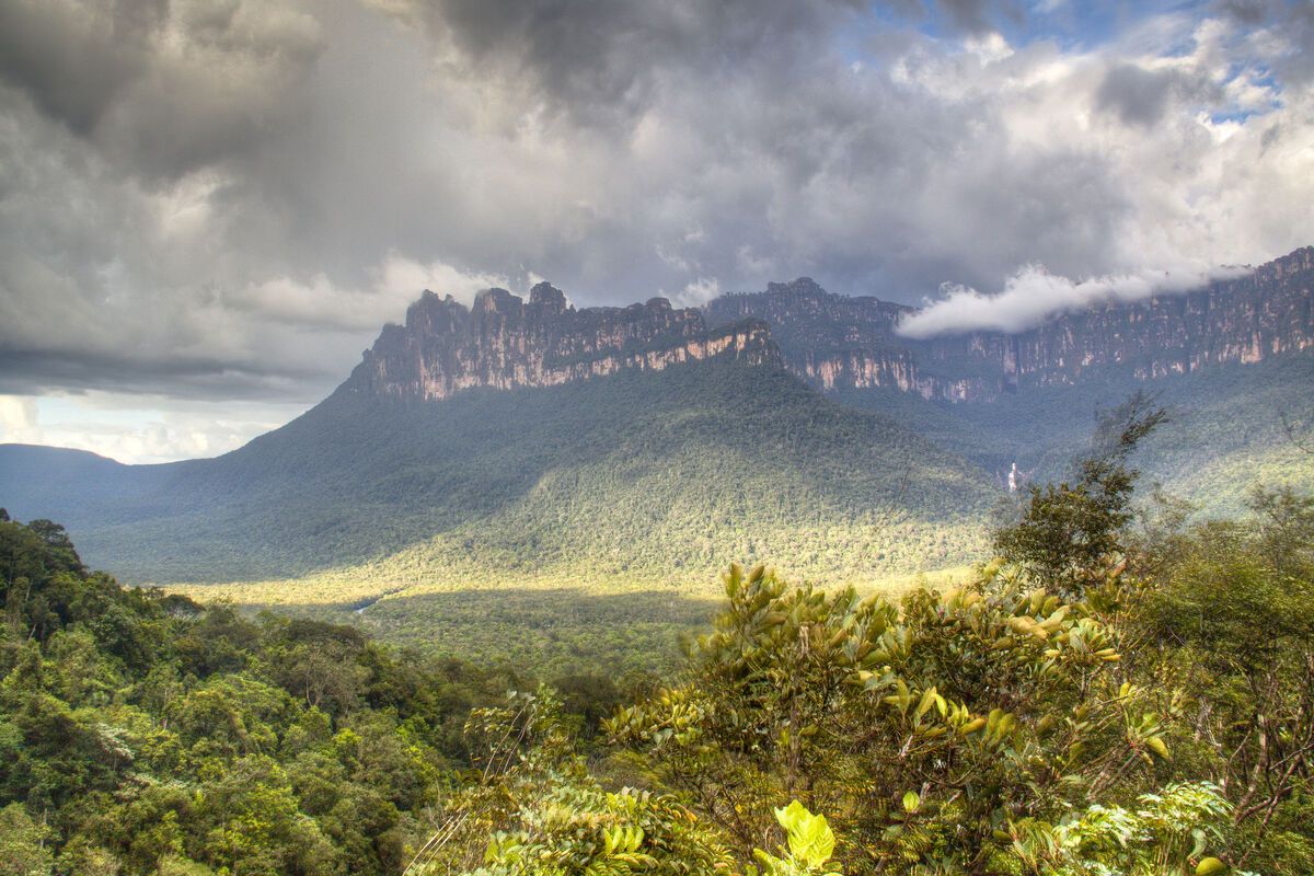 Veel natuurgebieden in Venezuela worden beschermd