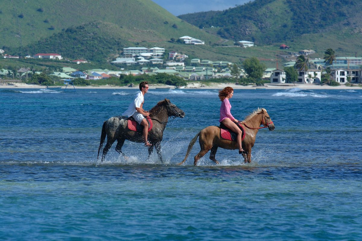 Paardrijden langs het strand van Sint-Maarten