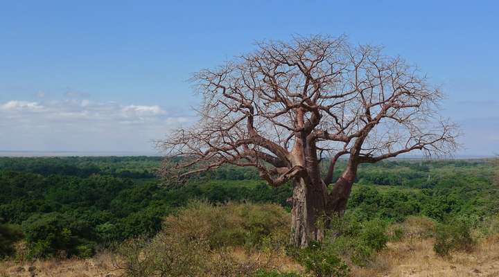 Reizen in Tanzania