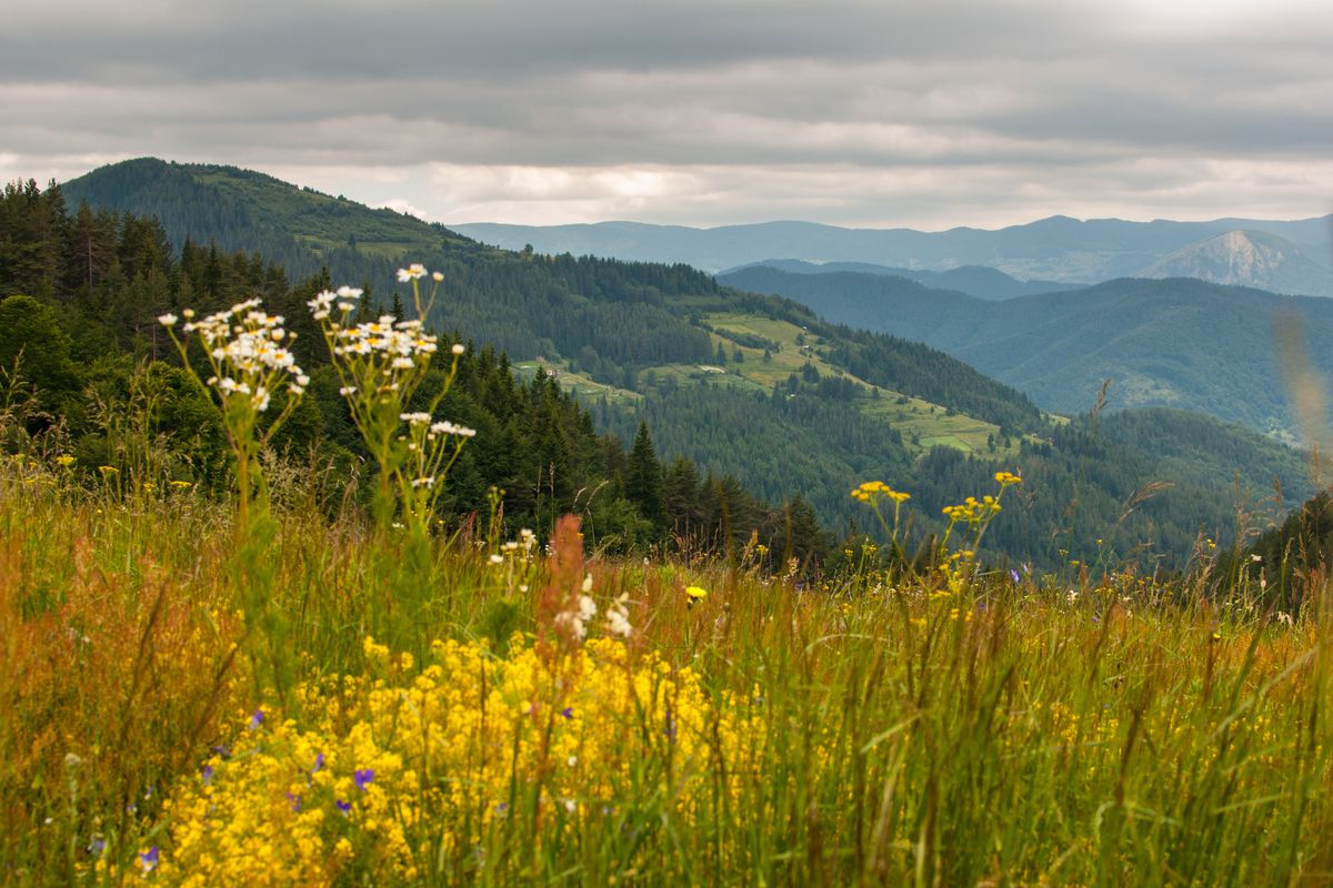 Het mooie landschap van Bulgarije