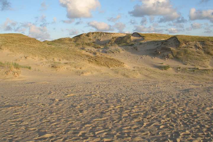 Nationaal Park van Neringa