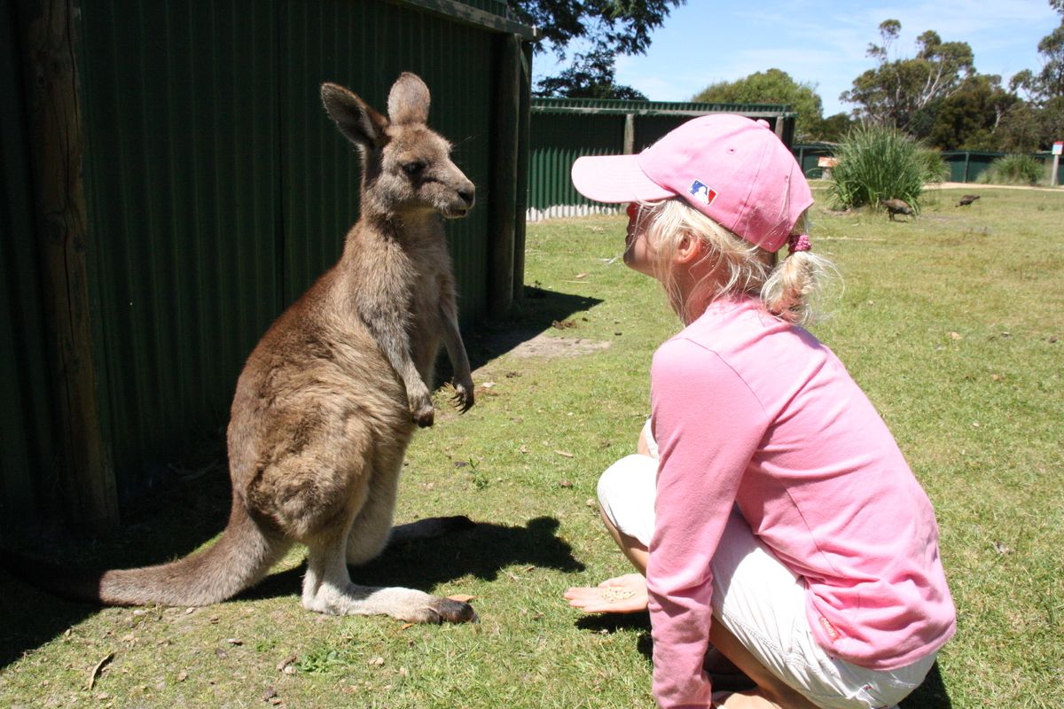Onderonsje met een walibi