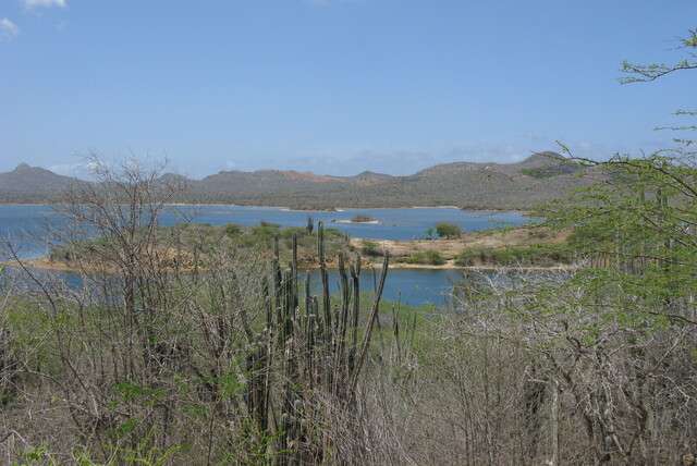 Thuiskomen op Bonaire