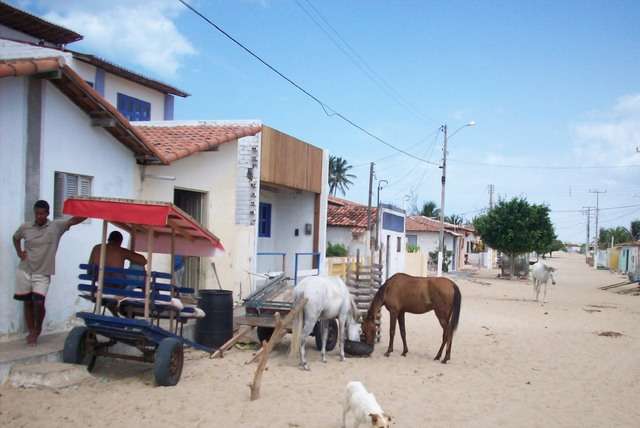 Rondreis Noord, Tibau do Sul