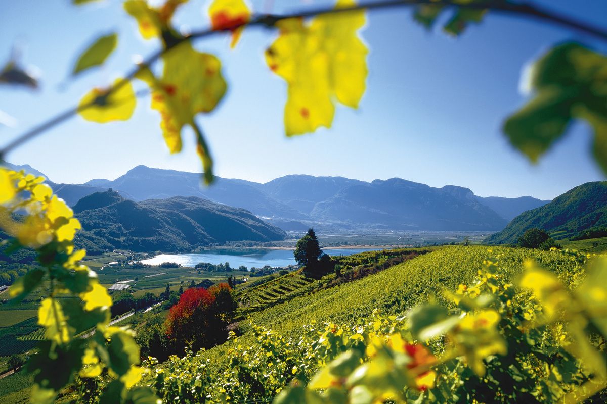 Landschap Zuid-Tirol