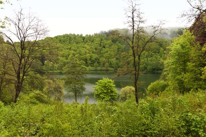 Eifelsteig in de Eifel in Duitsland