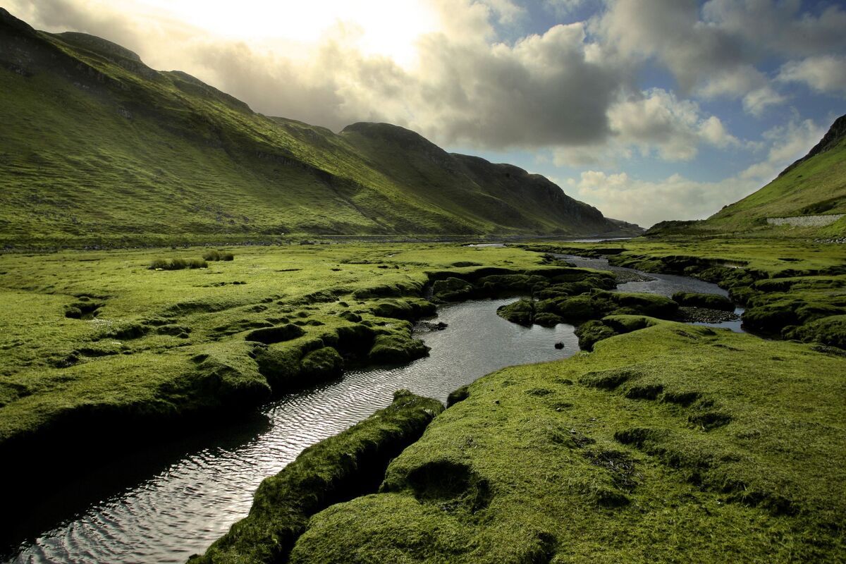 Schotse Hooglanden in de lente
