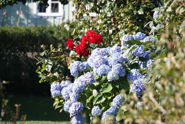 De vijf leukste activiteiten in Skne