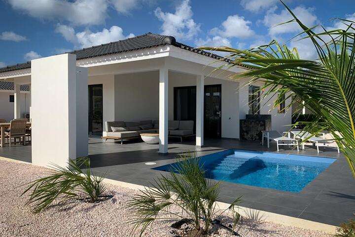 Beach and Dive Winsock