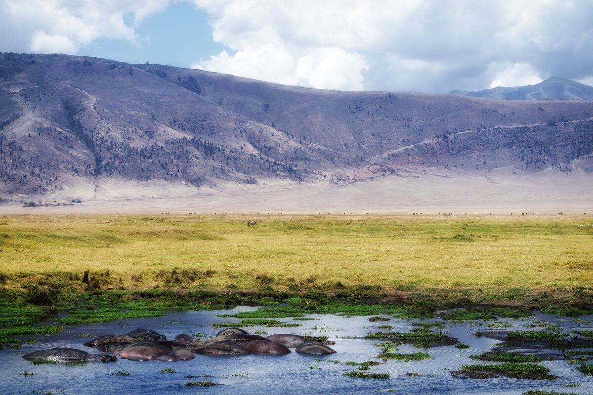 Ngorongoro Crater