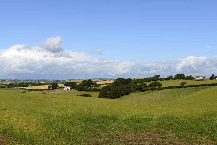 Het platteland van Dartmoore
