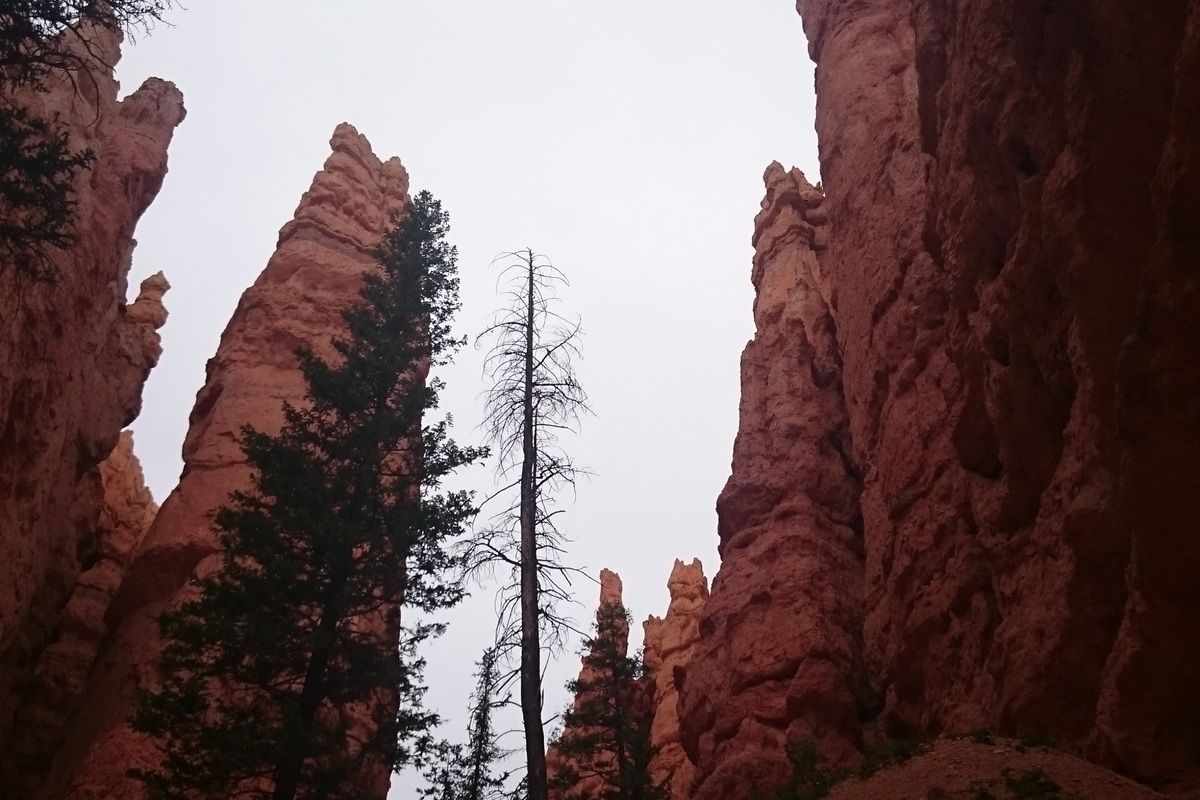 Foto van deze vakantie