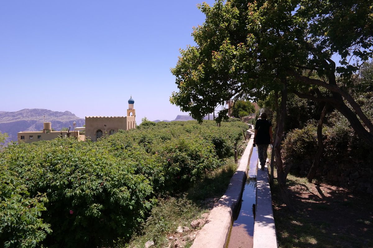 Jebel Akhdar, Oman