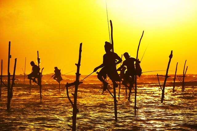 De mooiste plekken van Sri Lanka