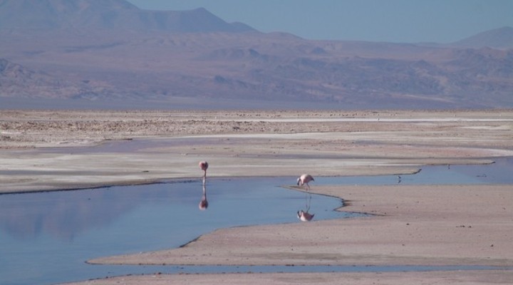 Atacamawoestijn, Chili