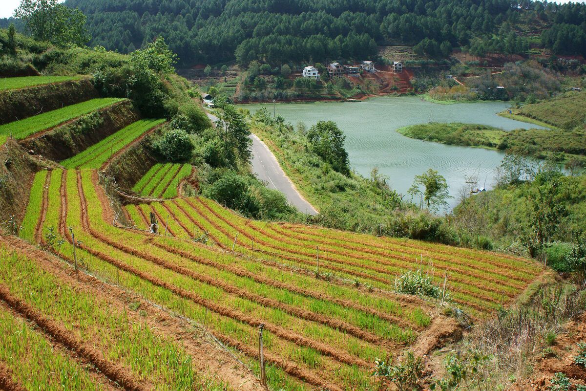 Landschap Dalat, Vietnam