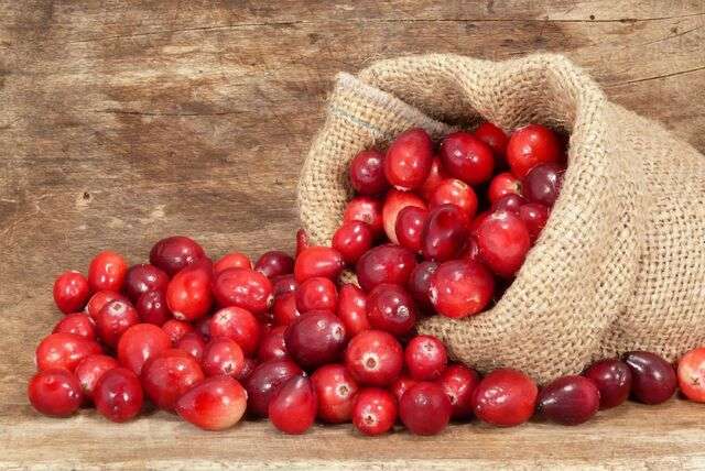 Cranberry's van Litouwen