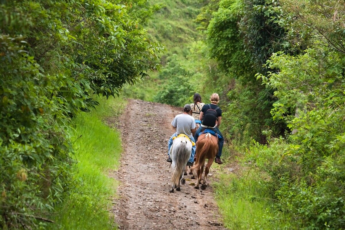 Toeristen rijden paard in het nevelwoud van Costa Rica