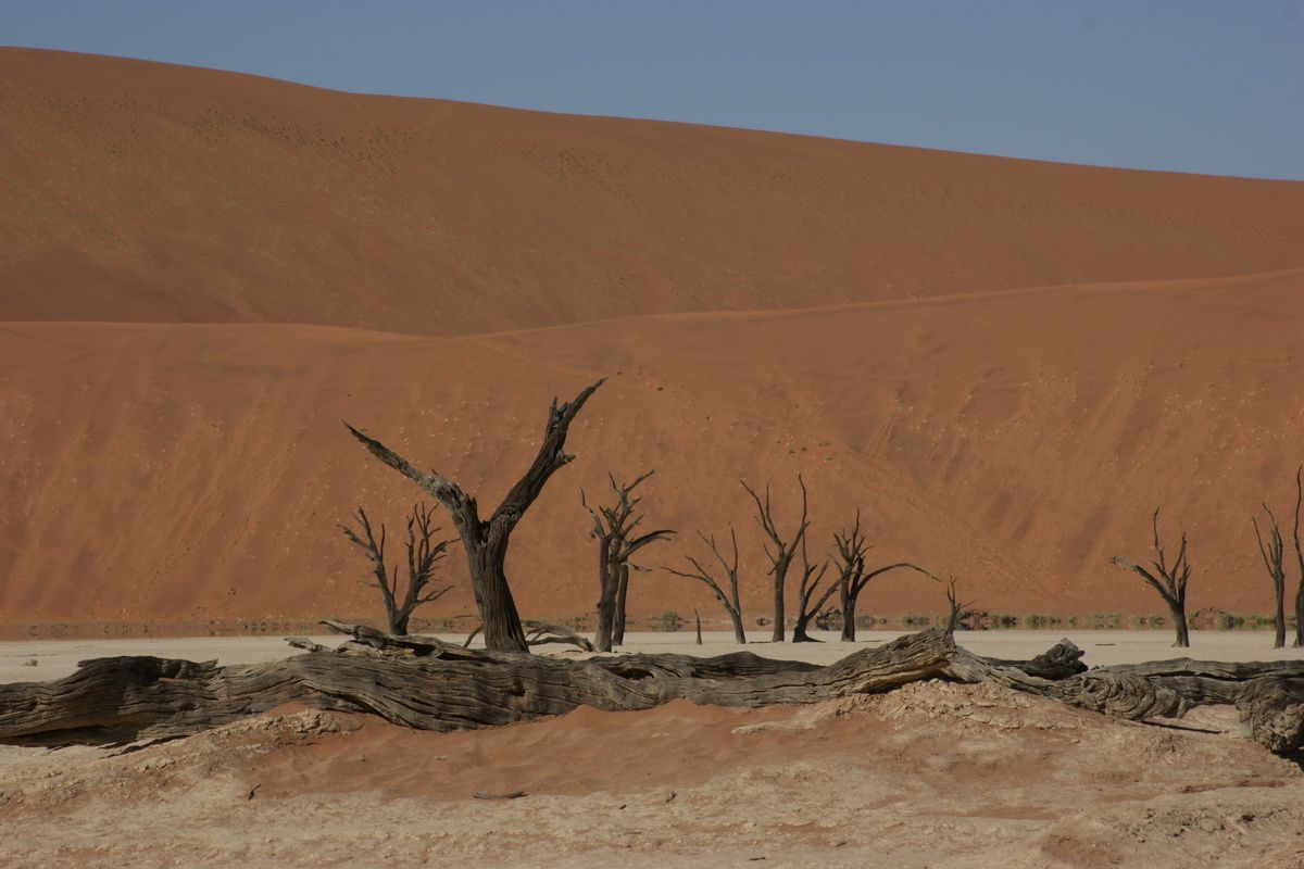 Sossusvlei, Death Vlei, Namibi�