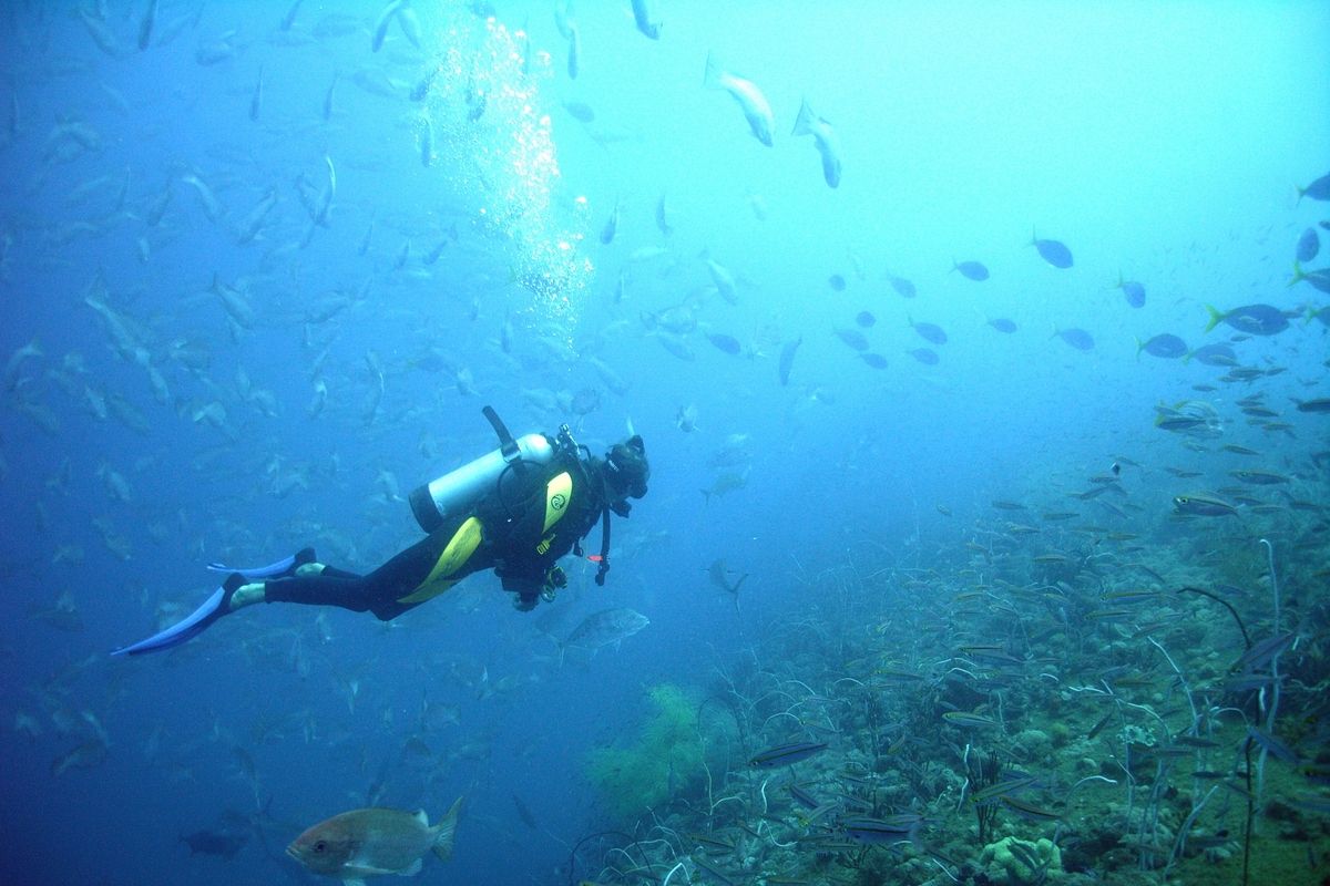 Duiken op Micronesia