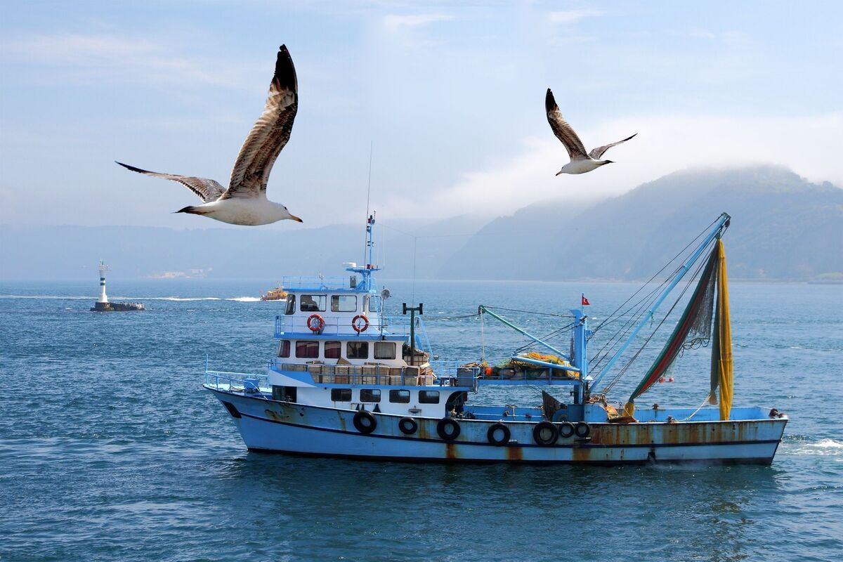 Vissersboot met meeuwen op voorgrond, Ierland