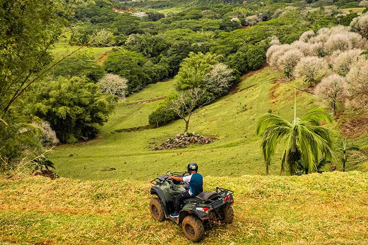 Vergezicht over de tropische tuin