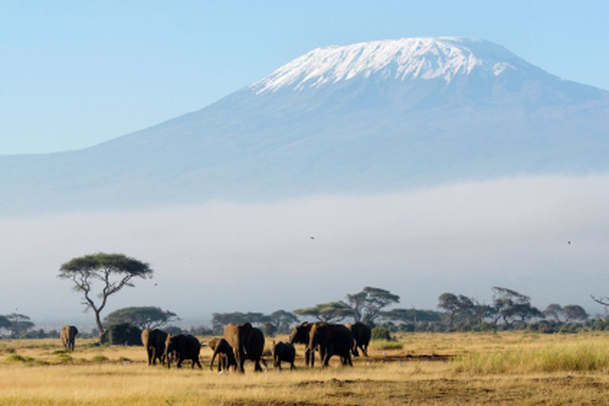 De Kilimanjaro