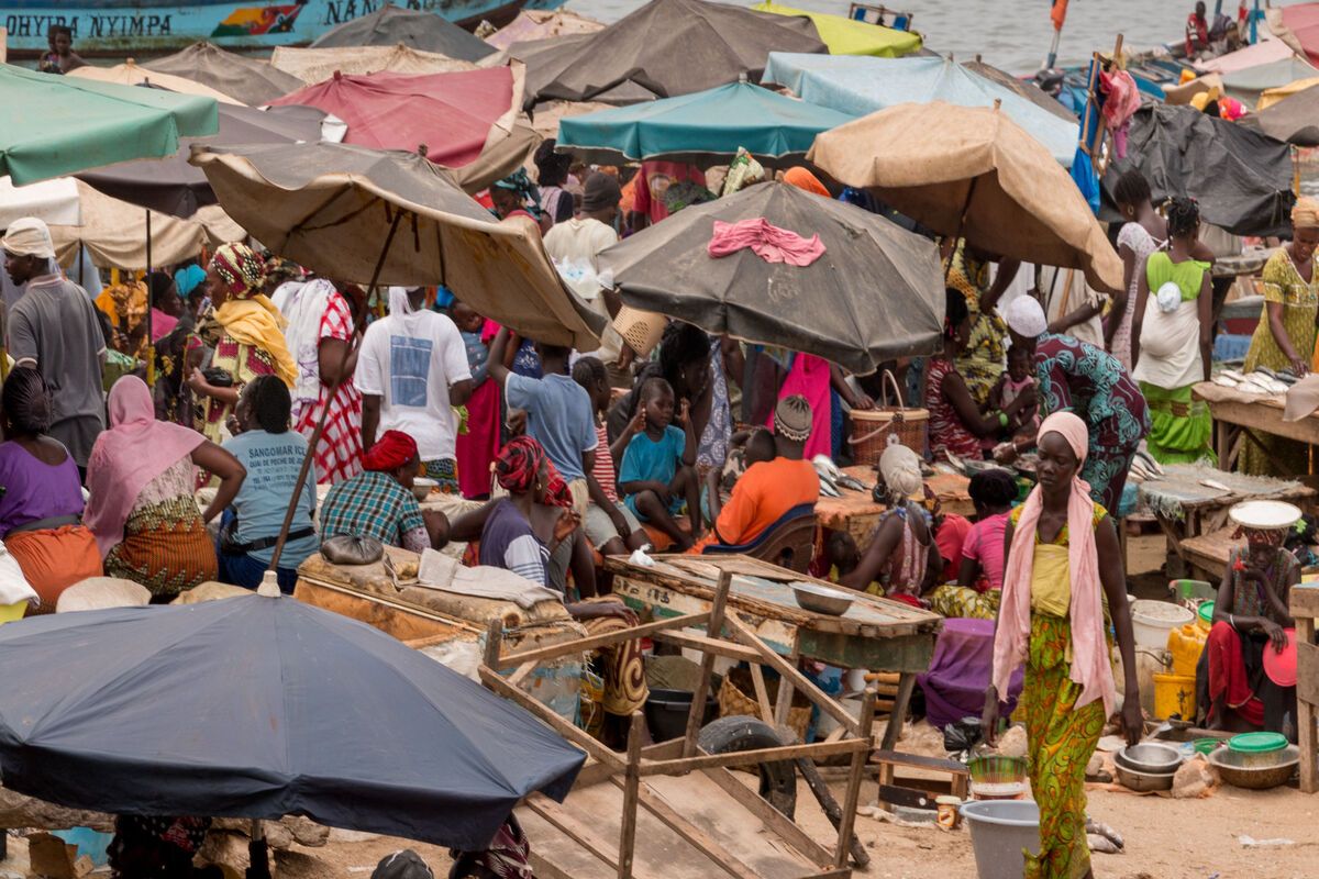 De lokale vismarkt in Mbour, Senegal