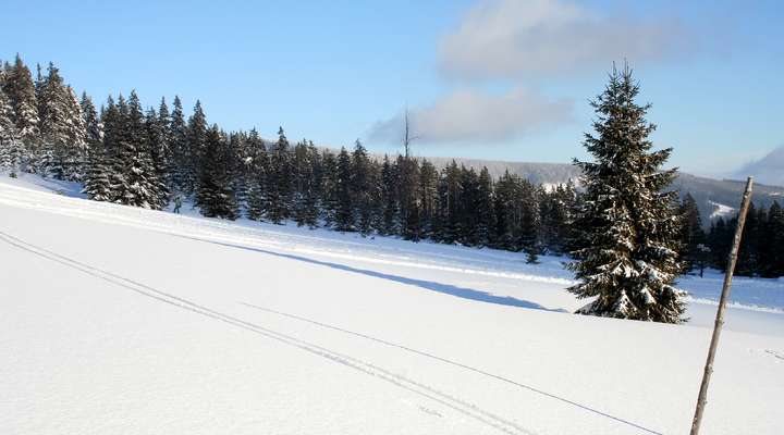 Nationaal Park Krkonose, Tsjechi