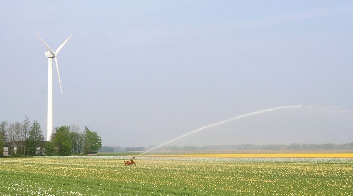 Noordoostpolder Nederland