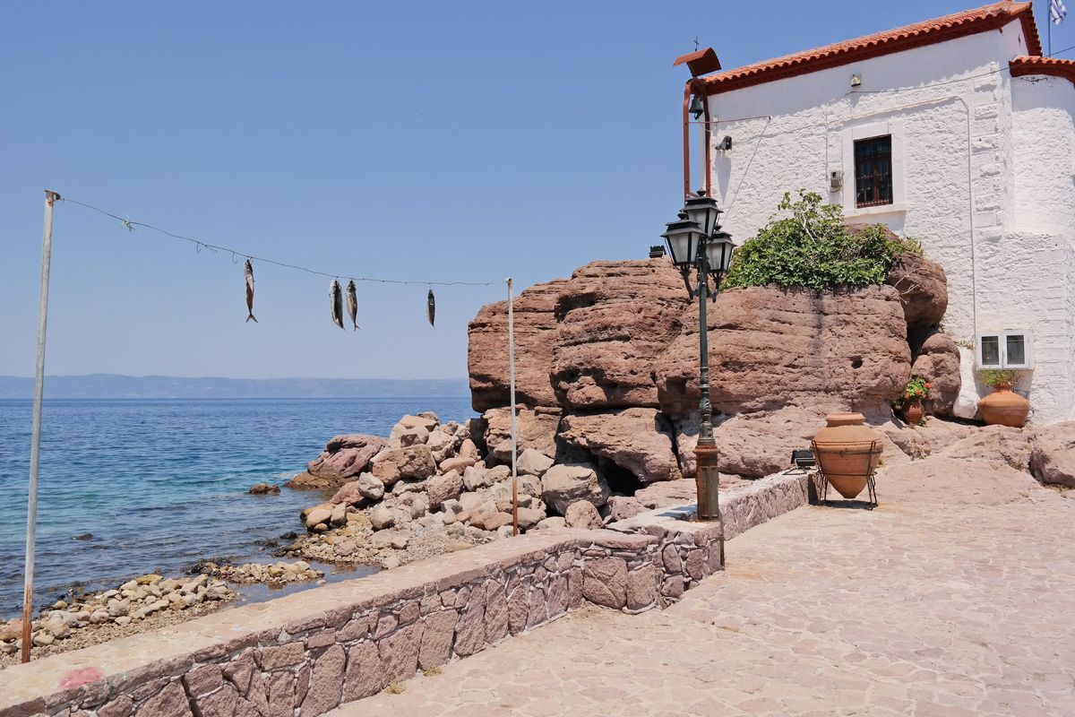 Vis drogen op Lesbos