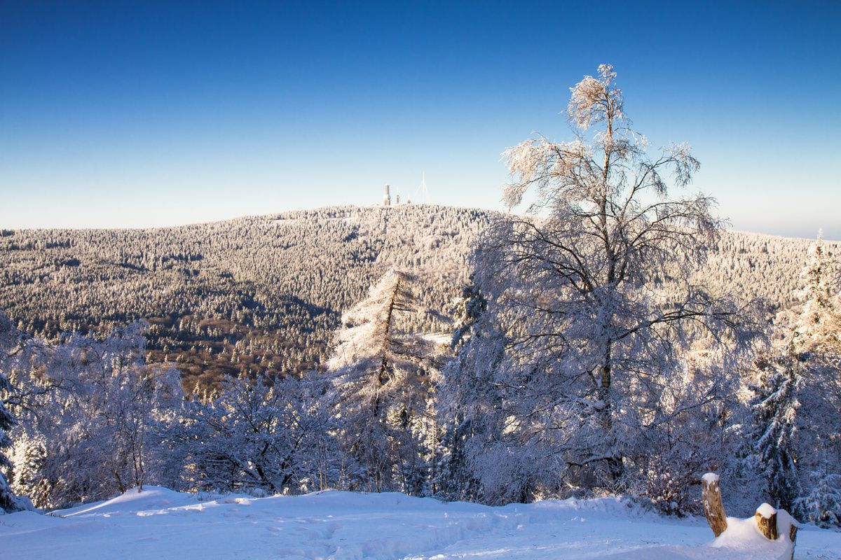 Uitzicht op de Feldberg